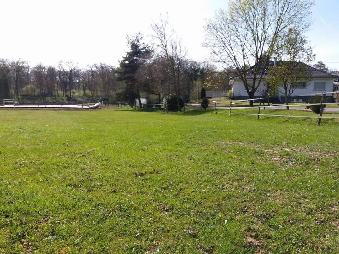 Repos Rouge-Plaisir Au Milieu Des Chevaux Apartment Kembs ภายนอก รูปภาพ