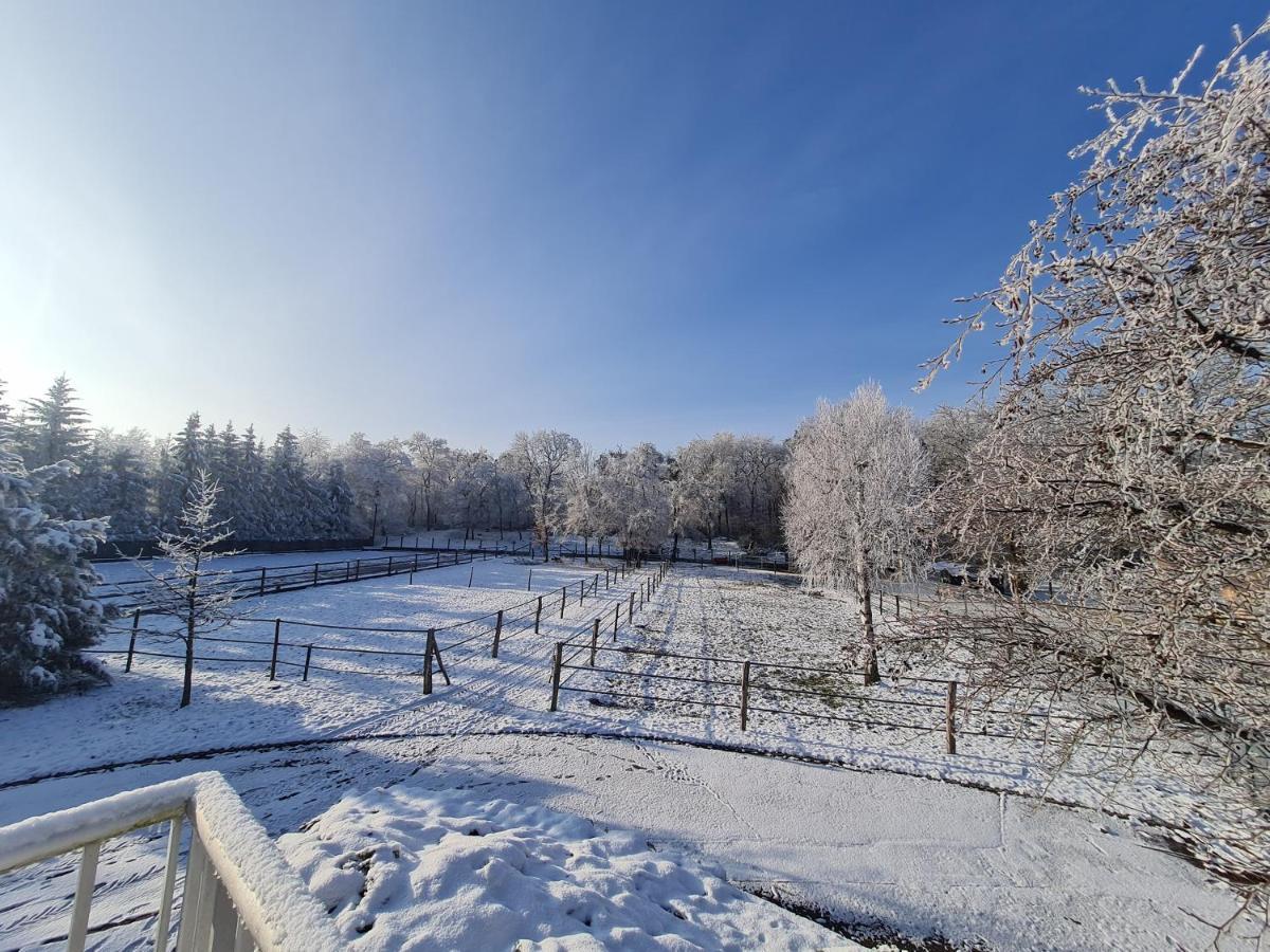 Repos Rouge-Plaisir Au Milieu Des Chevaux Apartment Kembs ภายนอก รูปภาพ