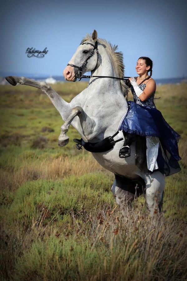 Repos Rouge-Plaisir Au Milieu Des Chevaux Apartment Kembs ภายนอก รูปภาพ