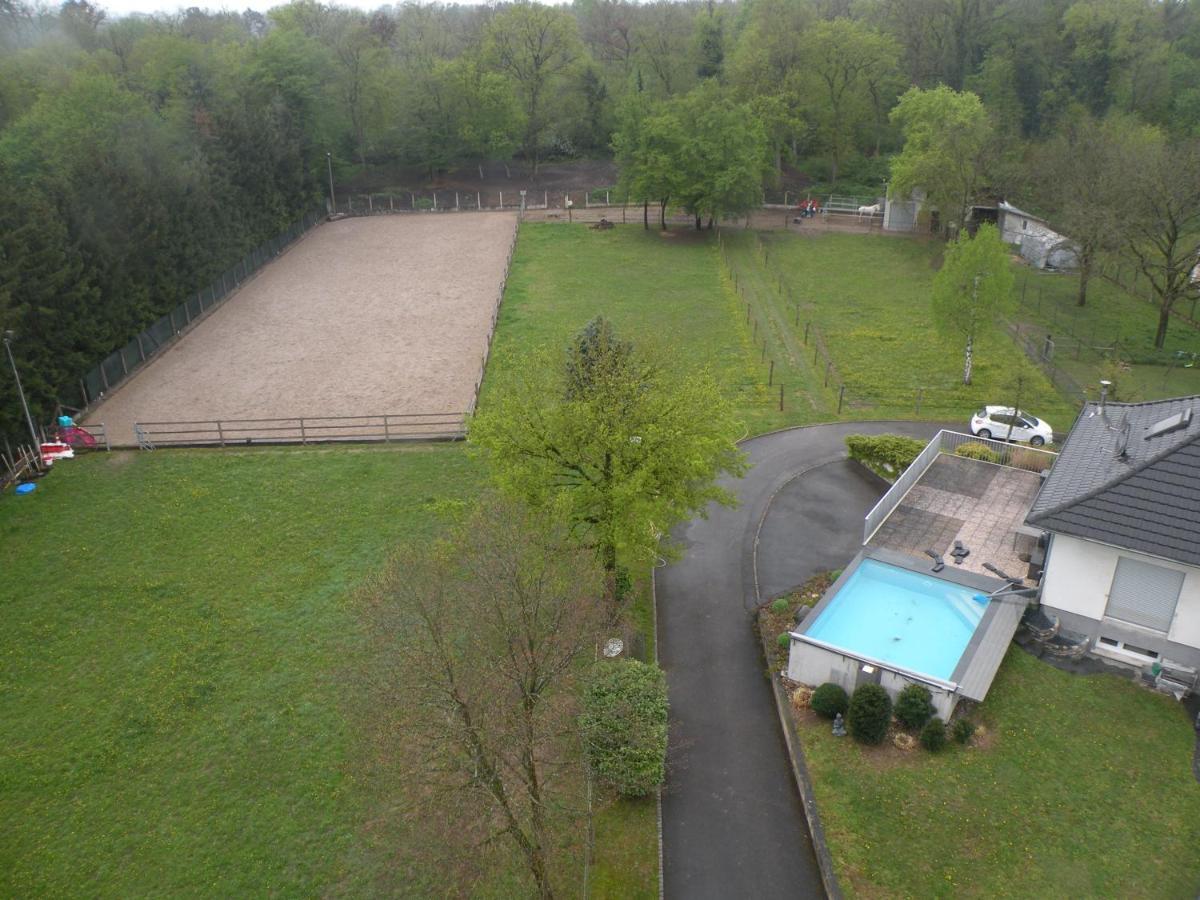 Repos Rouge-Plaisir Au Milieu Des Chevaux Apartment Kembs ภายนอก รูปภาพ